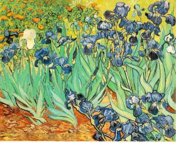 Gogh, Vincent van : Irises II